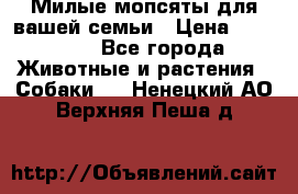 Милые мопсяты для вашей семьи › Цена ­ 20 000 - Все города Животные и растения » Собаки   . Ненецкий АО,Верхняя Пеша д.